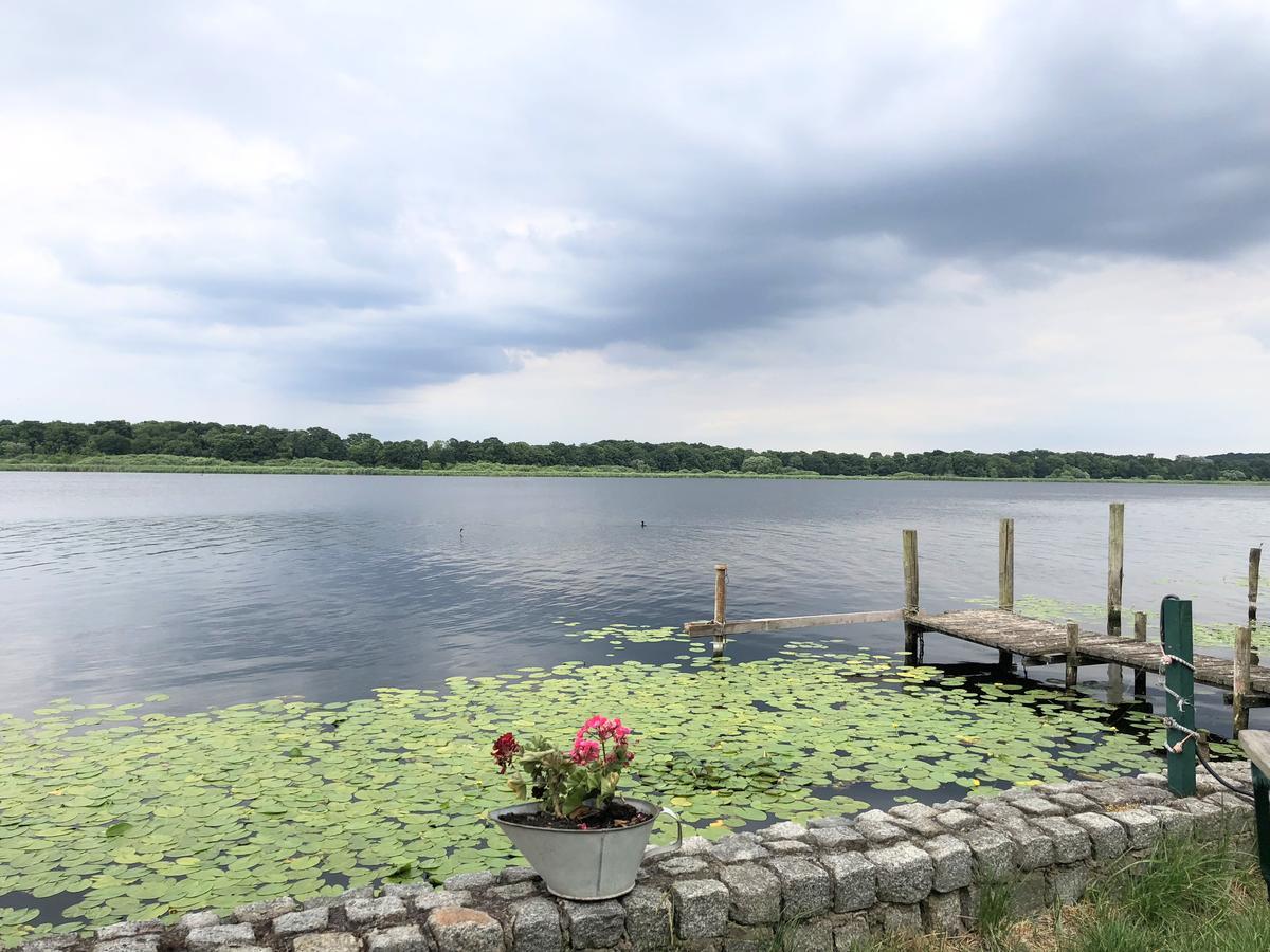 Ferienwohnung Auf Der Insel Werder  Bagian luar foto
